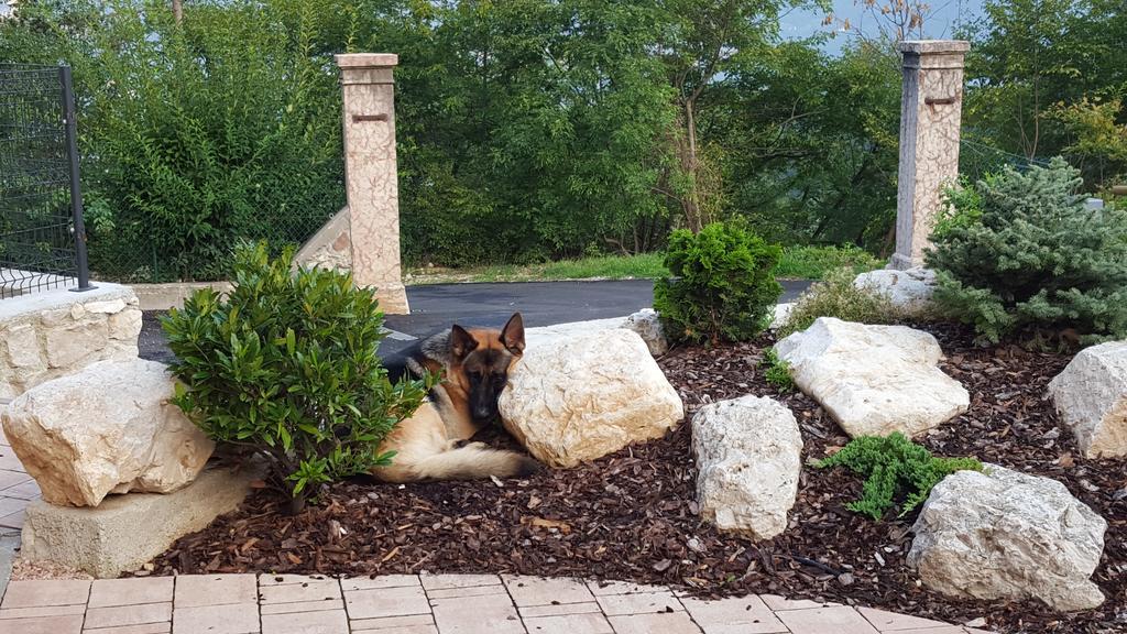 Agriturismo Al Maniero Trento Dış mekan fotoğraf